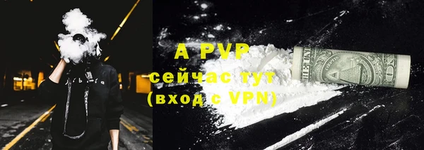крисы Верея