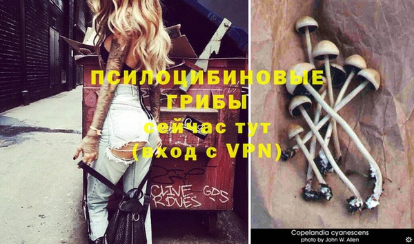 Альфа ПВП Верхний Тагил