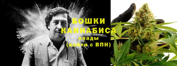 прущие грибы Володарск